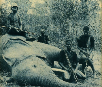 Les racines du ciel de Romain Gary : les éléphants de Morel | La ...